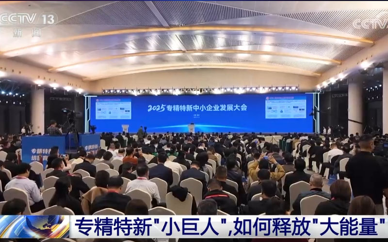 新聞媒體報(bào)道