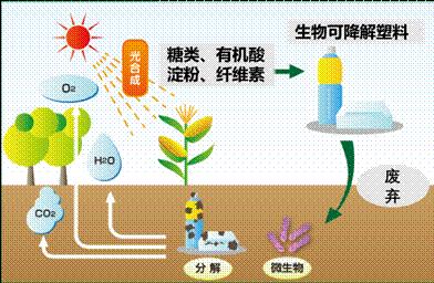 生物可降解塑料